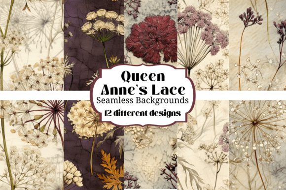 Queen Anne's Lace Floral Backgrounds: 12 Seamless Patterns